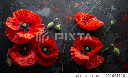 Close-up macro photo of a single red poppy flower on a black or blue background 131621118