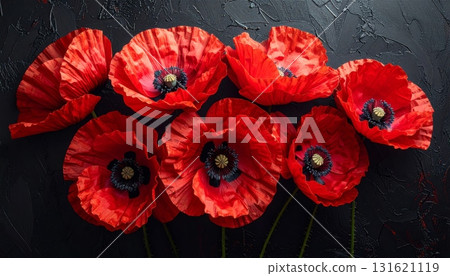 Close-up macro photo of a single red poppy flower on a black or blue background 131621119