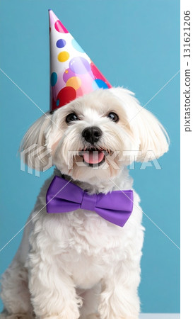 Adorable one white Westie puppy, a cute west highland white terrier pet, sitting in a studio for a portrait 131621206
