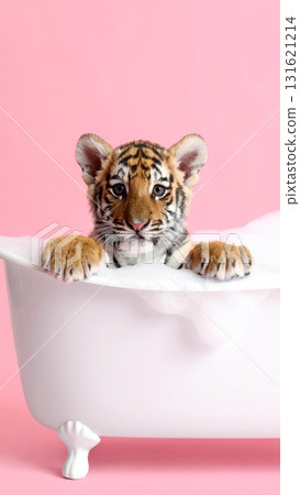 Cute young kitten or feline pet with fur in a bowl with milk or looking out of a gift box as a playful portrait 131621214