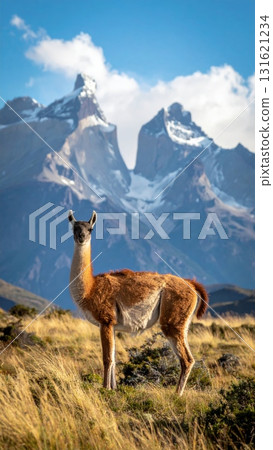 Mountain wildlife landscape featuring a brown deer and other wild mammals grazing on grass in the Andes nature Mountain wildlife landscape featuring a brown deer and other wild mammals grazing on grass in the Andes nature 131621234
