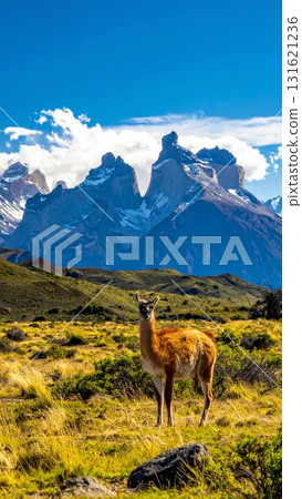 Mountain wildlife landscape featuring a brown deer and other wild mammals grazing on grass in the Andes nature Mountain wildlife landscape featuring a brown deer and other wild mammals grazing on grass in the Andes nature 131621236