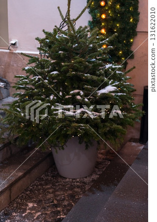 A Festive Christmas Tree in a Decorative Pot 131622010