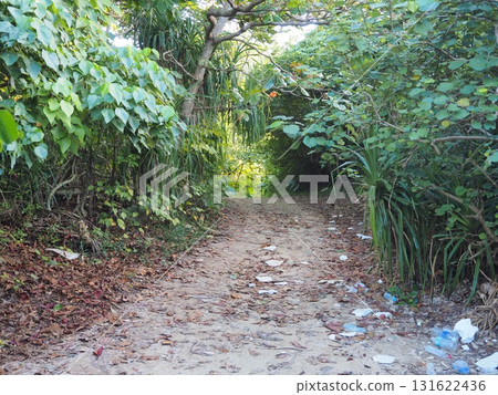 Pathway to Aragusuku Beach, Miyako Island Pathway to Aragusuku Beach, Miyako Island 131622436