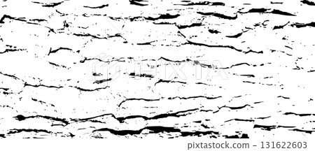 Tree bark texture 131622603