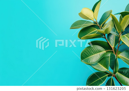 Green leaves against a bright blue background creating a vibrant contrast 131623205