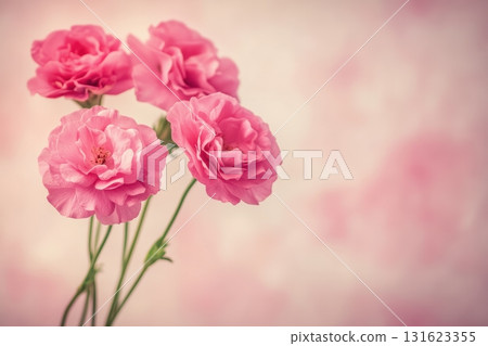 Beautiful pink flowers arranged in a vase, brightening up the room environment Beautiful pink flowers arranged in a vase, brightening up the room environment 131623355