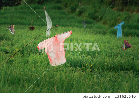 Colorful Shirts Hanging in Green Rice Field with Lush Vegetation and Rural Landscape Creating a Vibrant and Scenic View of Nature's Beauty Colorful Shirts Hanging in Green Rice Field with Lush Vegetation and Rural Landscape Creating a Vibrant and Scenic View of Nature's Beauty 131623510