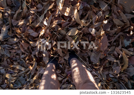 Fill with fallen leaves Fill with fallen leaves 131623545