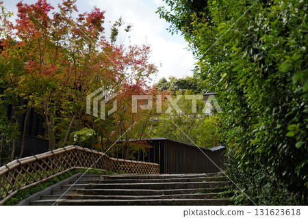 京都寺廟的秋意 131623618