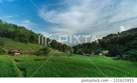 Lush Green Rice Fields Under Blue Sky with Clouds in Serene Mountainous Landscape Surrounded by Nature Lush Green Rice Fields Under Blue Sky with Clouds in Serene Mountainous Landscape Surrounded by Nature 131623955