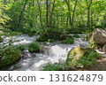 Forest and mountain stream 131624879