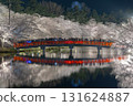 Reflecting bridge and cherry blossoms at night 131624887