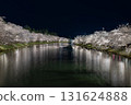 Night cherry blossoms reflected in the river 131624888
