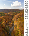 Autumn leaves 131624890