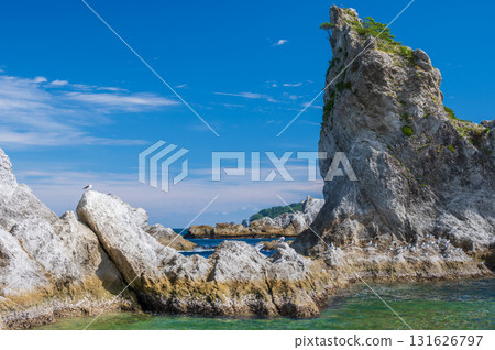 The view of Jodogahama Beach where black-tailed gulls gather - a spectacular sight in Sanriku 131626797