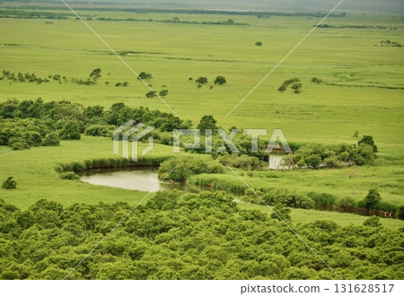 Summer scenery of Kushiro Marsh 131628517