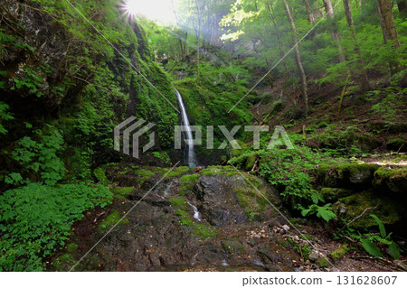 大天上瀑布(奈良縣吉野郡川上村) 大天上瀑布(奈良縣吉野郡川上村) 131628607