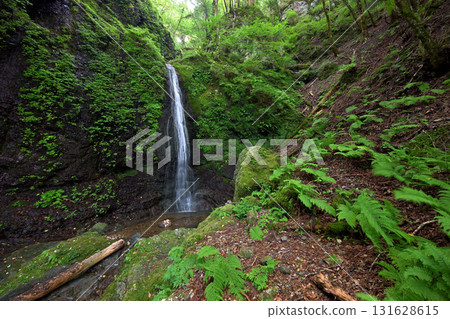 大天上瀑布(奈良縣吉野郡川上村) 大天上瀑布(奈良縣吉野郡川上村) 131628615