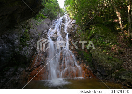 妖梅瀑布、大瀧瀑布(滋賀縣大津市北小松) 妖梅瀑布、大瀧瀑布(滋賀縣大津市北小松) 131629308