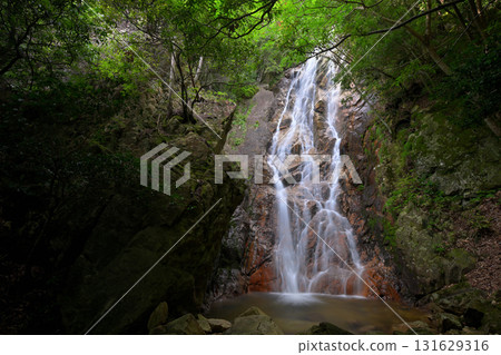 Youbai Falls, Otaki Falls (Kitakomatsu, Otsu City, Shiga Prefecture) 131629316