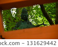 A Buddha statue surrounded by greenery and a torii gate 131629442