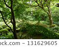 Sanzen-in Temple in Kyoto: A beautiful Japanese garden with moss 131629605