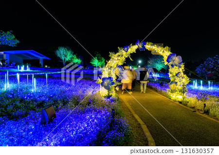 Illumination of the Nemophila flowerbeds at Toneri Park in Adachi Ward, Tokyo (Flower and Light Movement) 131630357