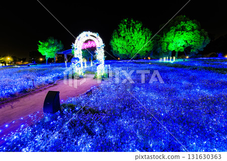 東京都足立區舍人公園的粉蝶花花壇亮燈儀式（花與光的盛會） 131630363