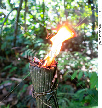 Traditional torch made from leaves in the Cuyabeno rainforest 131631115