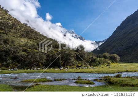 River and snow-capped mountains along the Laguna 69 trek in Huaraz, Peru River and snow-capped mountains along the Laguna 69 trek in Huaraz, Peru 131631137