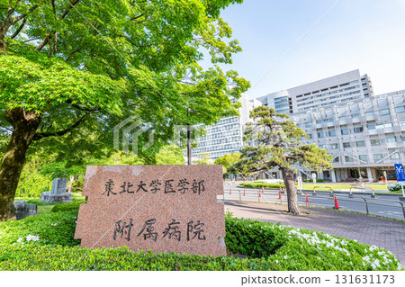 宮城縣仙台市東北大學醫院 131631173