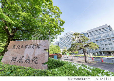 宮城縣仙台市東北大學醫院 宮城縣仙台市東北大學醫院 131631177