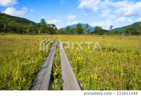 群馬縣片品村：初秋時節從尾瀨之原眺望火內岳和紅葉 131631348