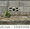 Block wall, wall, concrete, texture, textured, grass 131631438