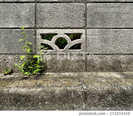 塊牆，牆壁，混凝土，紋理，紋理，草 131631438