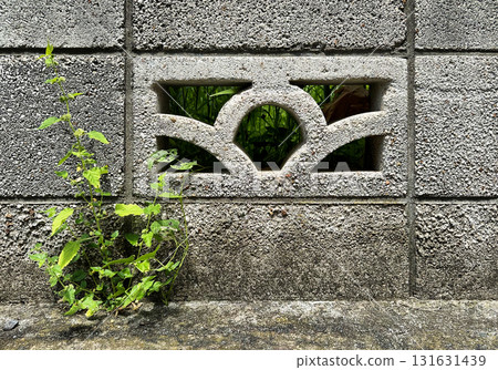 塊牆，牆壁，混凝土，紋理，紋理，草 131631439