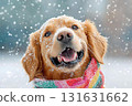 黃金獵犬戴著彩色圍巾享受冬天 131631662