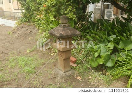 The garden inside the dormitory 131631891