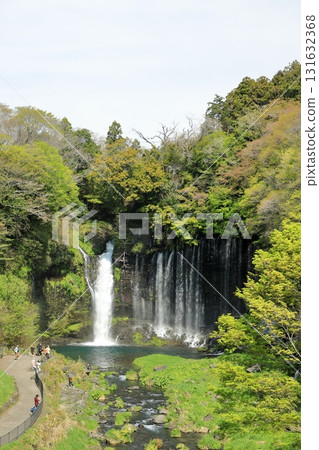 Mt.Fuji Shiraito Falls Fujinomiya City Superb view spots Mt.Fuji Shiraito Falls Fujinomiya City Superb view spots 131632368