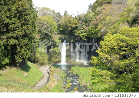 Mt.Fuji Shiraito Falls Fujinomiya City Superb view spots Mt.Fuji Shiraito Falls Fujinomiya City Superb view spots 131632370