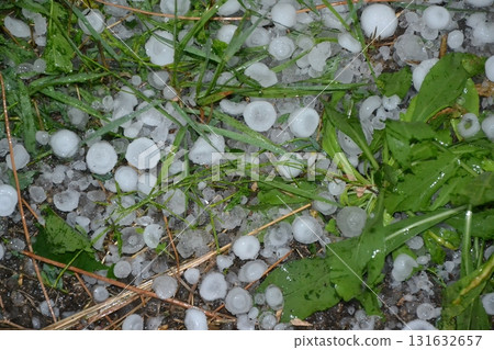 Hail on green grass after hailstorm. Lawn covered in hailstones after a hail storm. Form of precipitation falls.  131632657