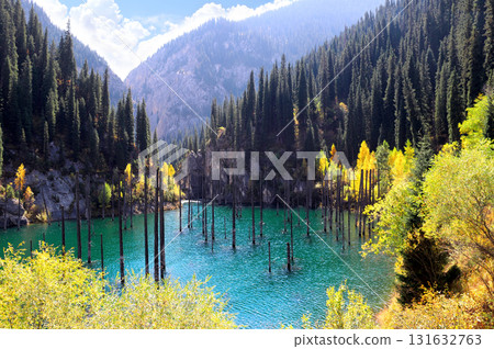 Picturesque autumn scenery of Kaindy lake with dead trees, Kolsay Lakes National Park, northern region of Tien Shan Mountains, Kazakhstan. Alpine Kaindy lake, Almaty region, Kazakhstan Picturesque autumn scenery of Kaindy lake with dead trees, Kolsay Lakes National Park, northern region of Tien Shan Mountains, Kazakhstan. Alpine Kaindy lake, Almaty region, Kazakhstan 131632763