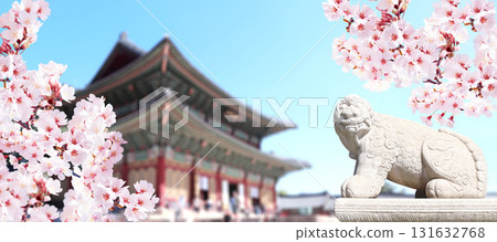 Sakura blossoming spring season. Horizontal banner with branch of blooming sakura, stone statue of mythical creature and ancient pavilion, Gyeongbokgung palace complex, Seoul, South Korea 131632768