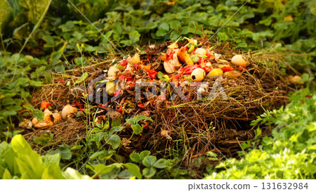 diverse compost pile showing recognizable food scraps like red fruit peels and fresh green vegetable waste. compost pile food scraps red green outside. food waste management natural pile diverse compost pile showing recognizable food scraps like red fruit peels and fresh green vegetable waste. compost pile food scraps red green outside. food waste management natural pile 131632984