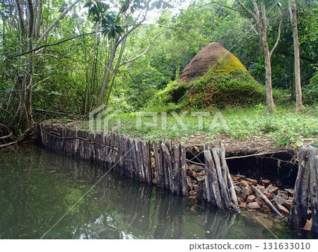 mangrove mangrove 131633010