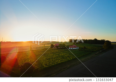 Small family winery and vineyard estate in countryside at sunset Small family winery and vineyard estate in countryside at sunset 131633047