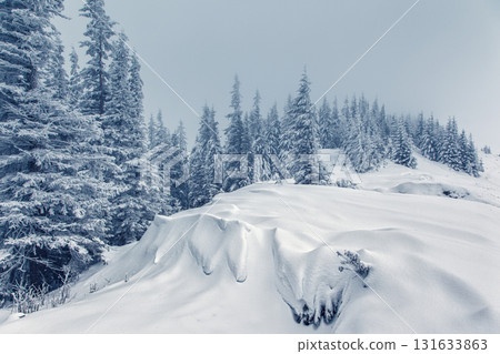 Dramatic wintry landscape Dramatic wintry landscape 131633863