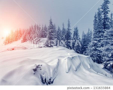 Dramatic wintry landscape 131633864