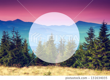 Summer landscape in mountains Summer landscape in mountains 131634035